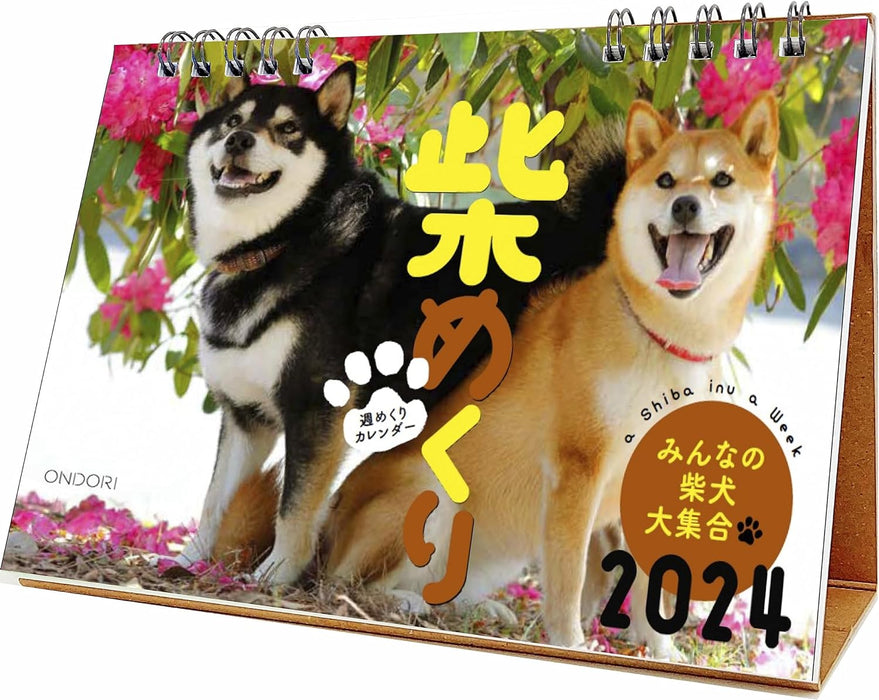 CO2 Shiba Inu 2024 Desk Calendar CK-D24-03