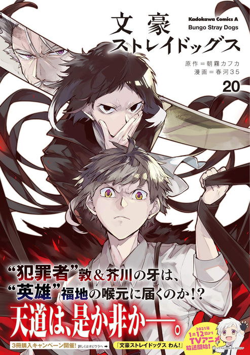 Bungo Stray Dogs 20