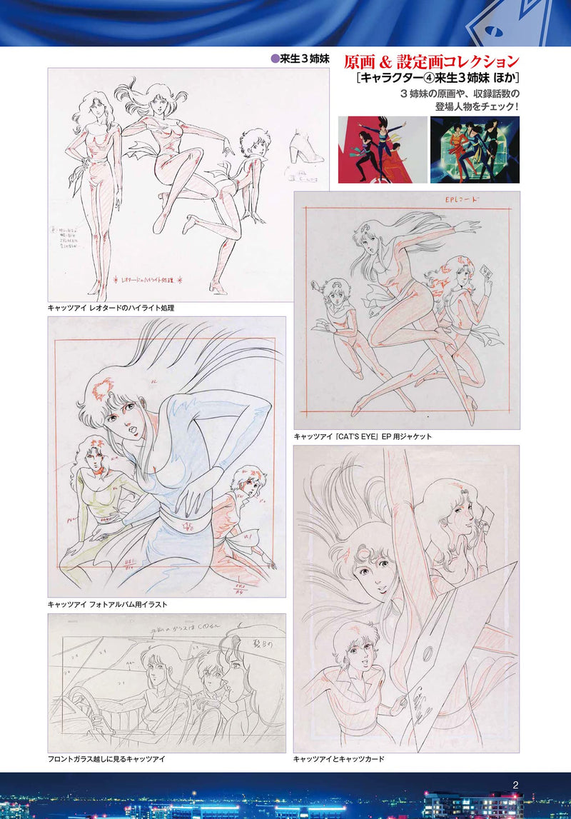 Cat's Eye COMPLETE DVD BOOK VOL.4 (DVD)