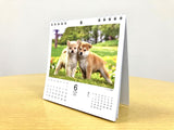 Yama-kei Calendar 2024 Koshiba (Flip Desk/Ring Calendar)