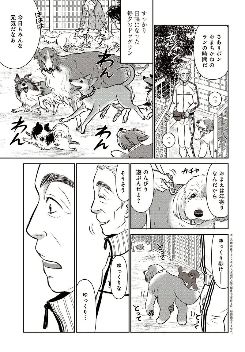 DOG SIGNAL 8