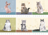Yama-kei Calendar 2024 Good Luck Lucky Cat (Monthly / Wall Calendar)