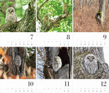 Yama-kei Calendar 2024 Owl (Monthly/Wall Calendar)