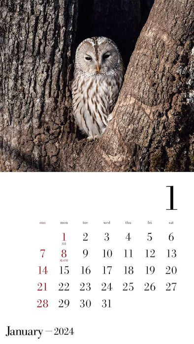 Yama-kei Calendar 2024 Owl (Monthly/Wall Calendar)