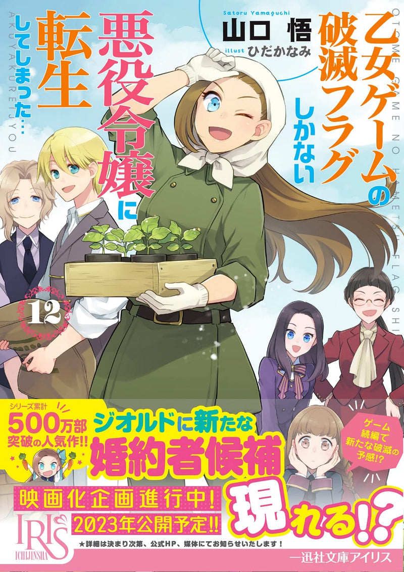 My Next Life as a Villainess: All Routes Lead to Doom! 12 (Light Novel)