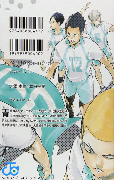 Haikyu!! 17