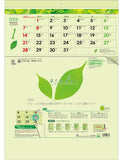 Todan 2024 Wall Calendar Green 3-Month eco M (From Top to Bottom Type / Perforated) 53.5 x 38cm TD-30940