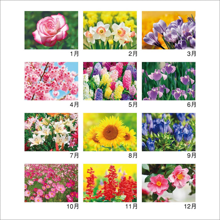 New Japan Calendar 2024 Wall Calendar Flower Language NK139 610x425mm