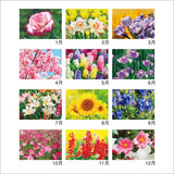 New Japan Calendar 2024 Wall Calendar Flower Language NK139 610x425mm