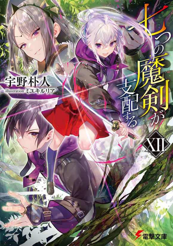 Reign of the Seven Spellblades (Nanatsu no Maken ga Shihai suru) XII (Light Novel)