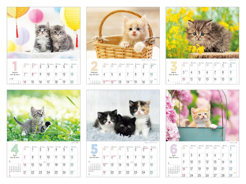 Fuwa Fuwa Nyanko Small Size (Impress Calendar 2024)