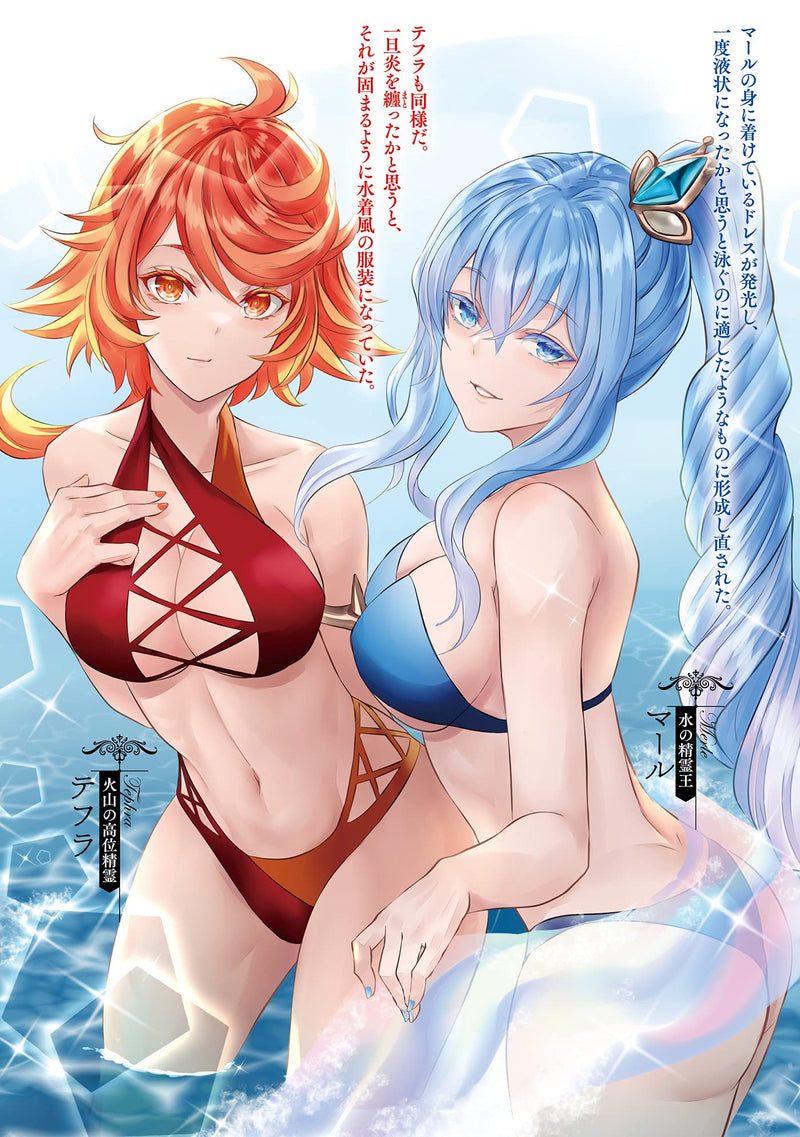 Kyoukai Meikyuu to Ikai no Majutsushi 15 (Light Novel)