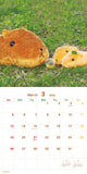 Kapibarasan Wall Calendar 2023