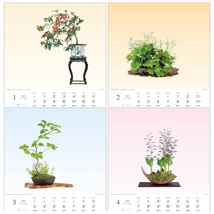 Todan 2024 Wall Calendar Wildflower Bonsai 53.5 x 38cm TD-819