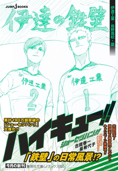 Haikyu!! Novel version!! Date Tech / Karasuno High Summer