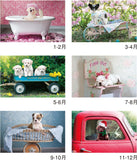 New Japan Calendar 2024 Wall Calendar One Day 2 Months Type NK904