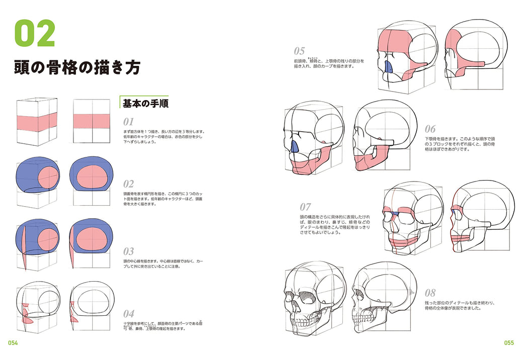 Master Guide to Drawing the Human Body: Character Sketching from the Basics