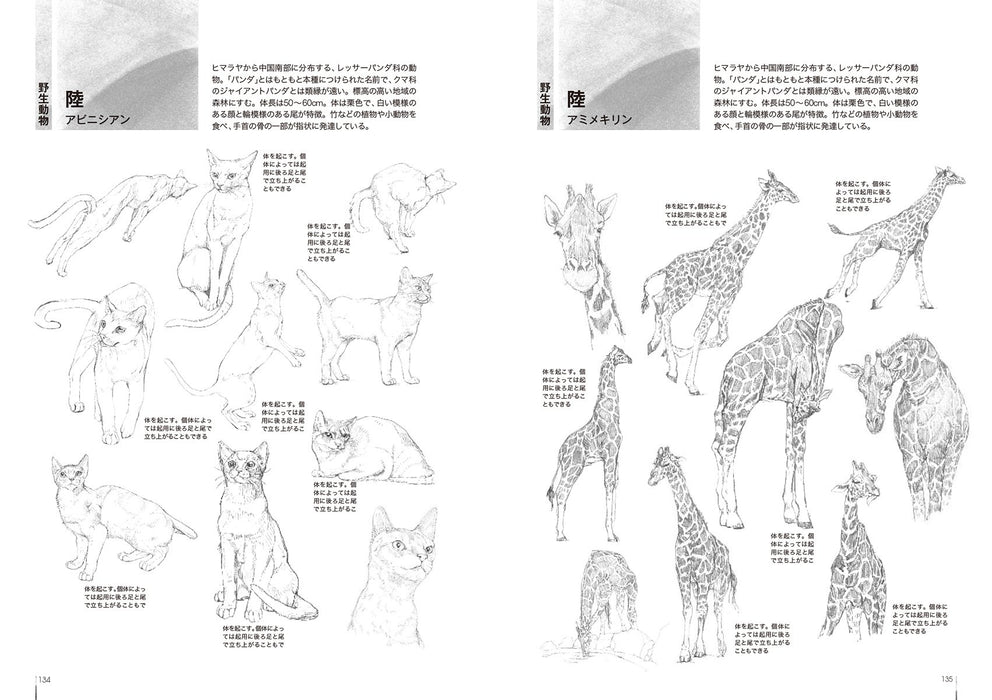 Animal Pose Collection: Understand the Shapes and Movements of 150 Animal Species