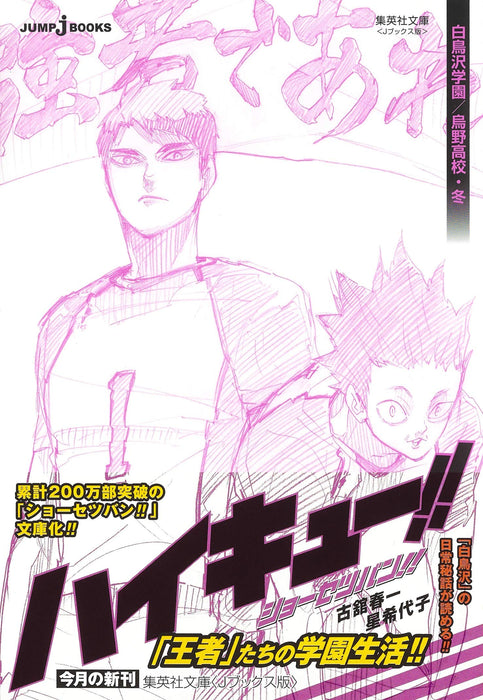 Haikyu!! Novel version!! Shiratorizawa Gakuen / Karasuno High Winter