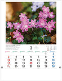 Todan 2024 Wall Calendar Japanese Wildflowers 53.5 x 38cm TD-818