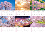 Shashin Koubou 'SAKURA Salura Sakura to 365 Days' 2024 Wall Calendar (with 420x297 holder)