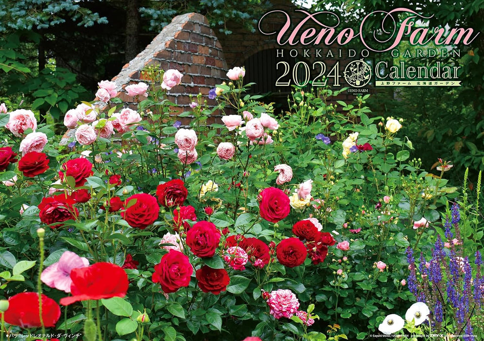 Try-X 2024 Wall Calendar Ueno Farm Hokkaido Garden CL-478 52x36cm