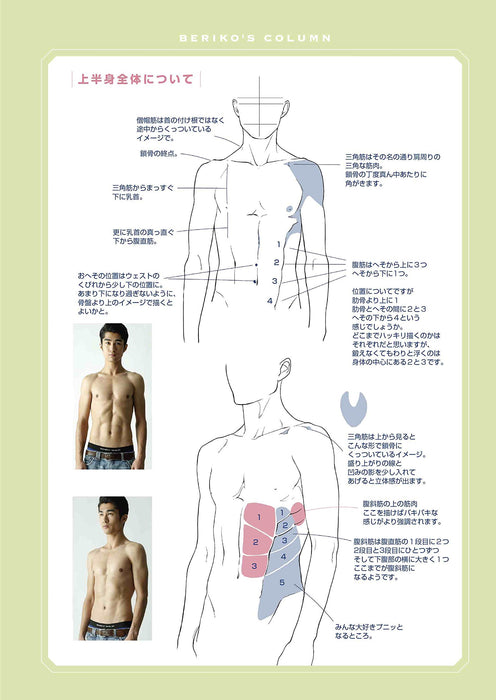 Pose Collection Made with Manga Artist - Man's Muscle Posing Collection (with Data CD)