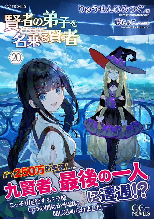 She Professed Herself Pupil of the Wise Man (Kenja no Deshi wo Nanoru Kenja) 20 (Light Novel)