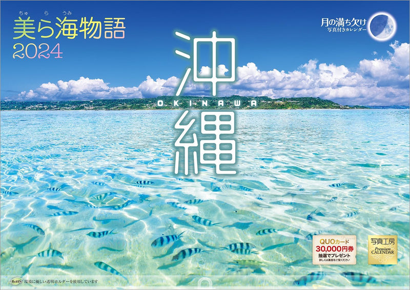 Shashin Koubou 'Okinawa Churaumi Monogatari' 2024 Wall Calendar (with 420x297 holder)