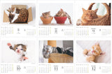Yama-kei Calendar 2024 Toroke Cat (Monthly / Desk / Ring)