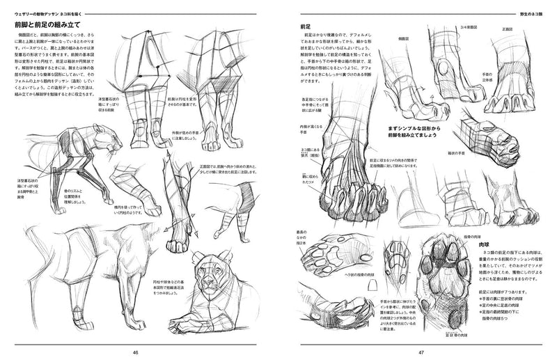 The Weatherly Guide to Drawing Cats (Japanese Edition)