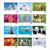 New Japan Calendar 2024 Wall Calendar Animals NK104