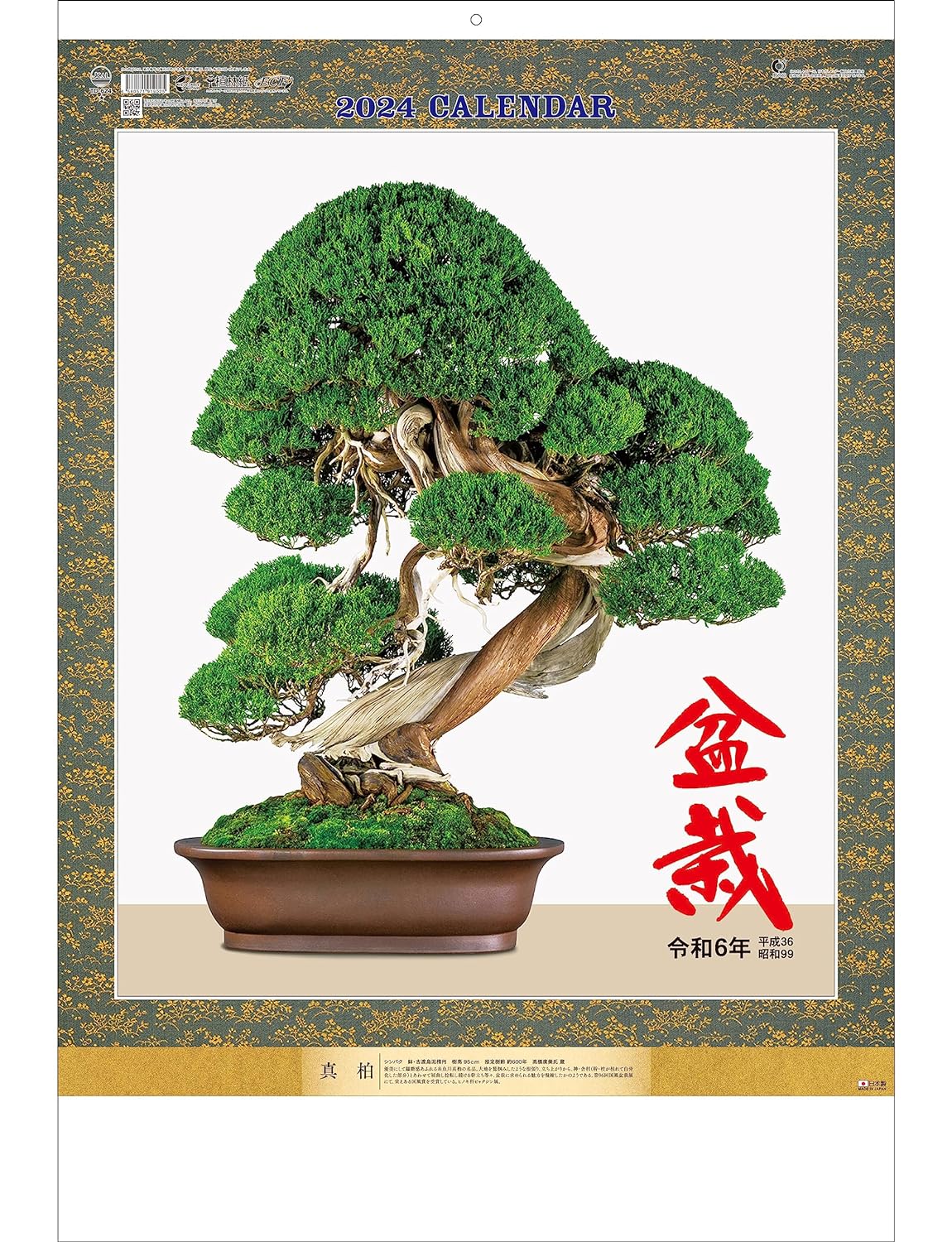 bonsai tree calendar Todan 2024 Wall Calendar Bonsai 76.6 x 51.5cm TD-624 — Japanese Book Store