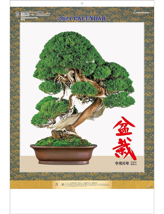 Todan 2024 Wall Calendar Bonsai 76.6 x 51.5cm TD-624