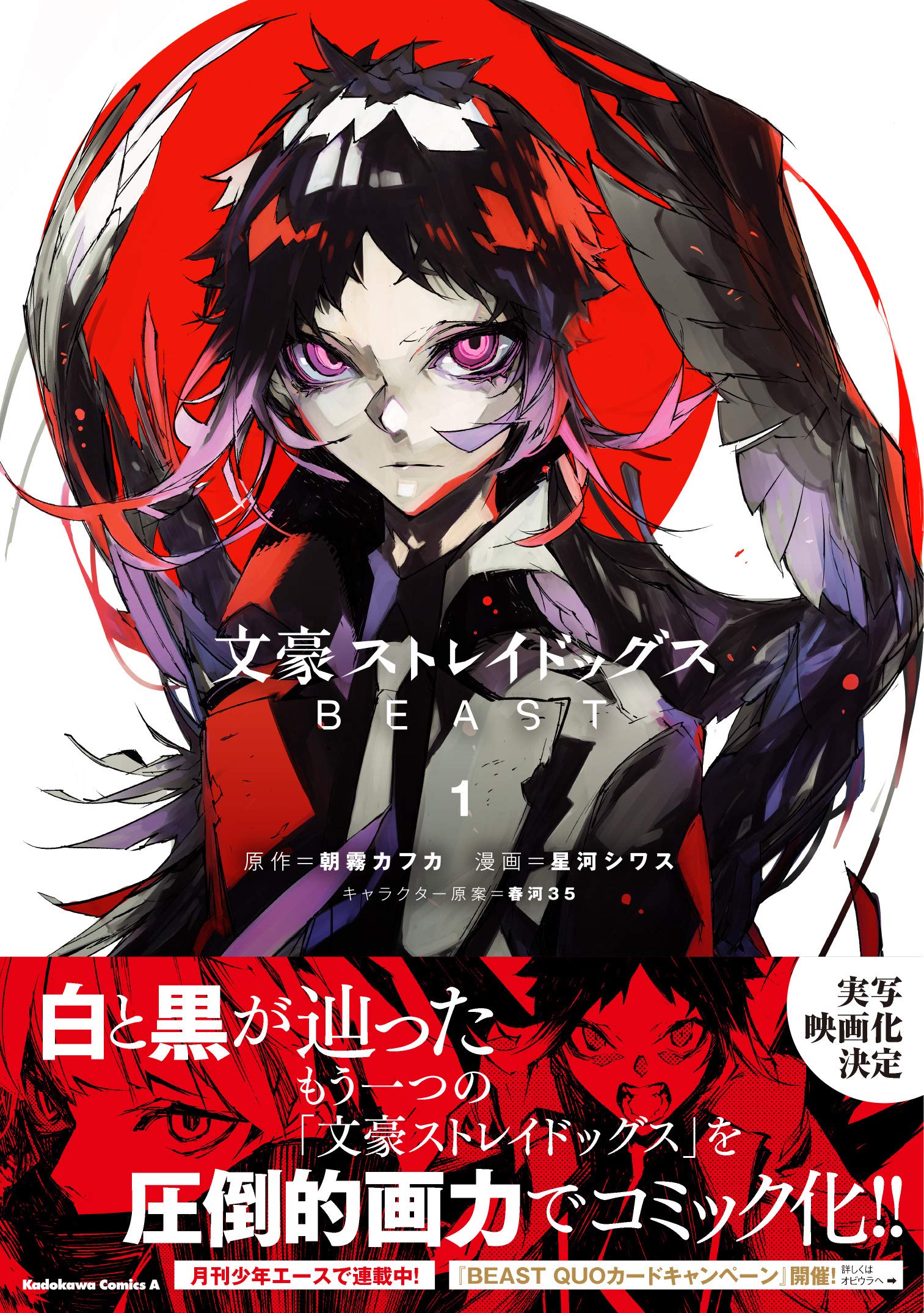 Bungo Stray Dogs Manga