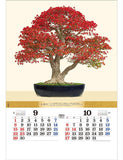 Todan 2024 Wall Calendar Bonsai 76.6 x 51.5cm TD-624