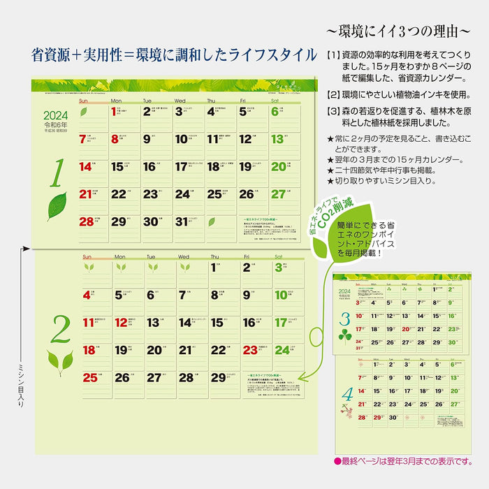 Todan 2024 Wall Calendar Green 2-Month eco (Perforated 15 Months) 53.5 x 38cm TD-30944