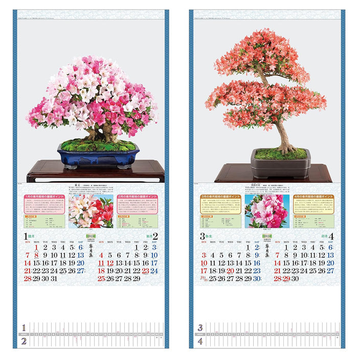 Todan 2024 Wall Calendar Satsuki Shu 76.5 x 35cm TD-784