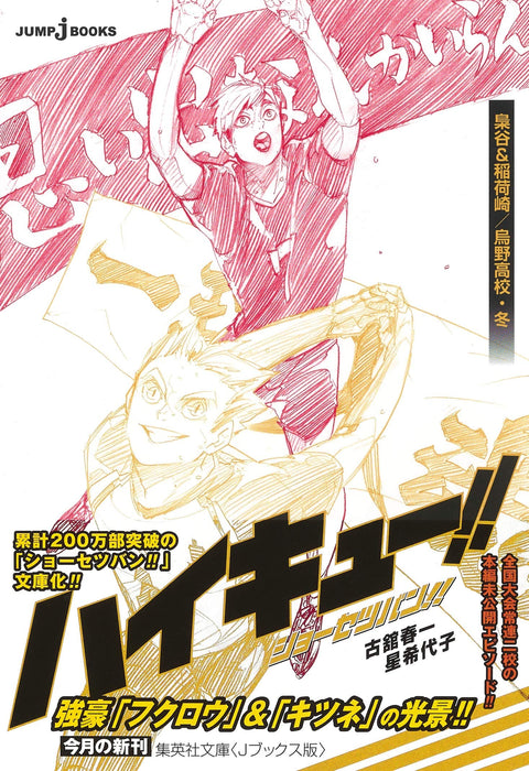 Haikyu!! Novel version!! Fukurodani & Inarizaki / Karasuno High Winter