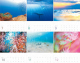 Yama-kei Calendar 2024 The Happiest Sea: The Most Beautiful Ocean in the World (Monthly/Wall Calendar)