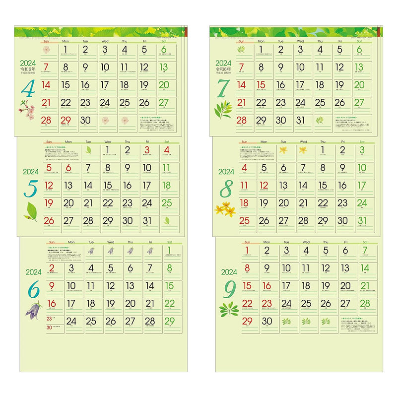 Todan 2024 Wall Calendar Green 3-Month eco (From Top to Bottom Type / Perforated) 75 x 35cm TD-30787