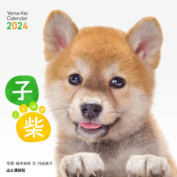 Yama-kei Calendar 2024 Koshiba (Flip Desk/Ring Calendar)