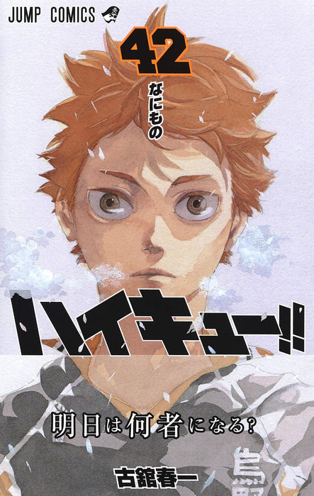 Haikyu!! 42