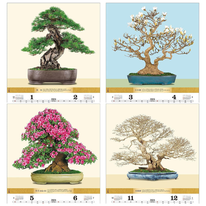 Todan 2024 Wall Calendar Bonsai 76.6 x 51.5cm TD-624