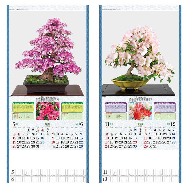 Todan 2024 Wall Calendar Satsuki Shu 76.5 x 35cm TD-784