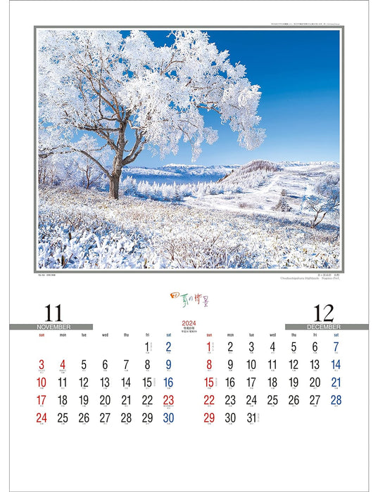 Todan 2024 Wall Calendar The Scenery of the Four Seasons 60.8 x 42.5cm TD-701