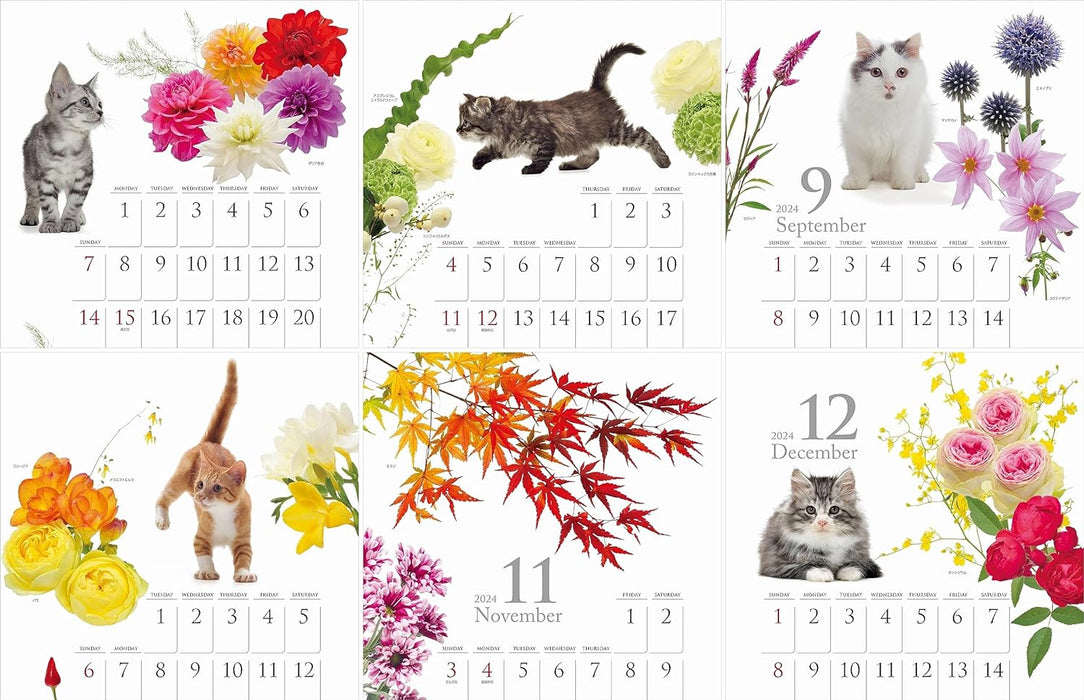 Yama-kei Calendar 2024 Cat and Flower Calendar (Monthly Flip/Wall Calendar)