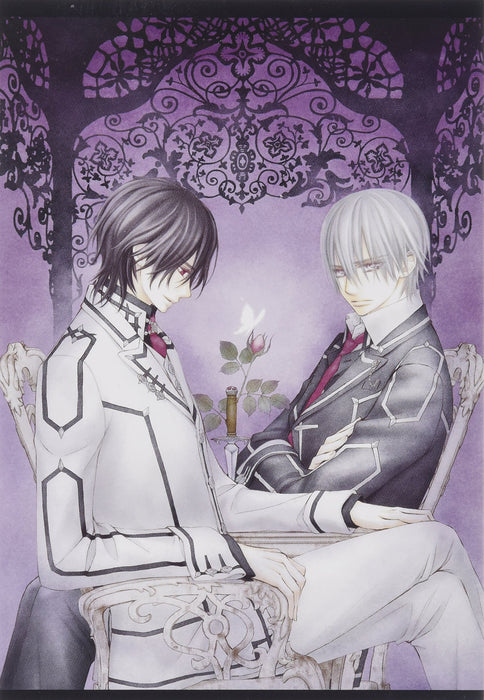 Vampire Knight 10 (Light Novel)