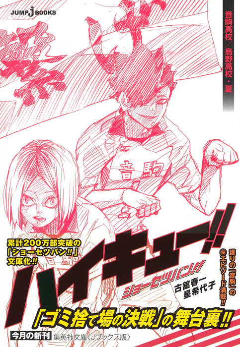 Haikyu!! Novel version!! Nekoma / Karasuno High Summer