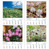 Todan 2024 Wall Calendar Japanese Wildflowers 53.5 x 38cm TD-818